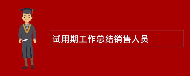 试用期工作总结销售人员