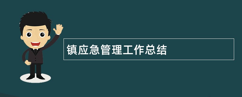 镇应急管理工作总结