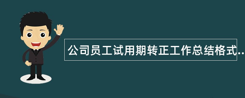 公司员工试用期转正工作总结格式