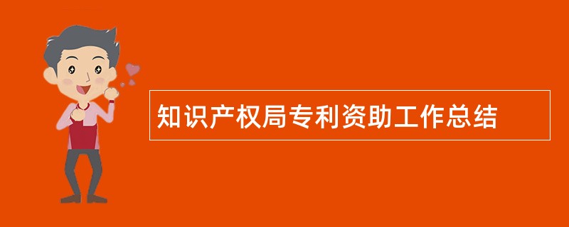 知识产权局专利资助工作总结