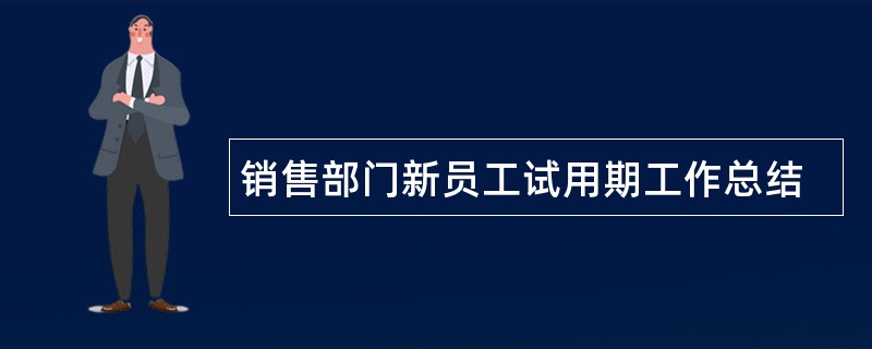 销售部门新员工试用期工作总结