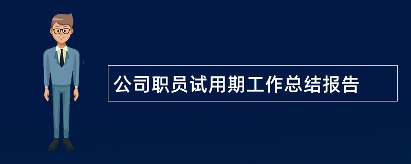 公司职员试用期工作总结报告