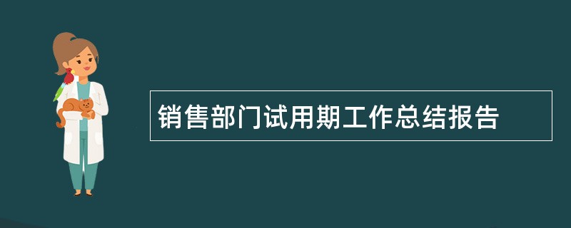 销售部门试用期工作总结报告