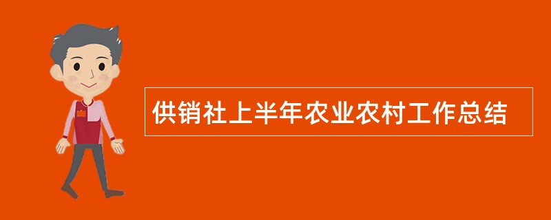 供销社上半年农业农村工作总结