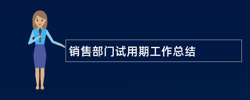 销售部门试用期工作总结