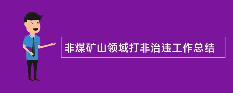 非煤矿山领域打非治违工作总结