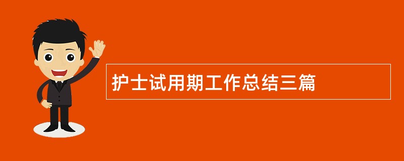 护士试用期工作总结三篇