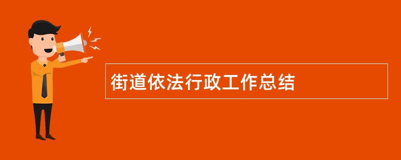 街道依法行政工作总结