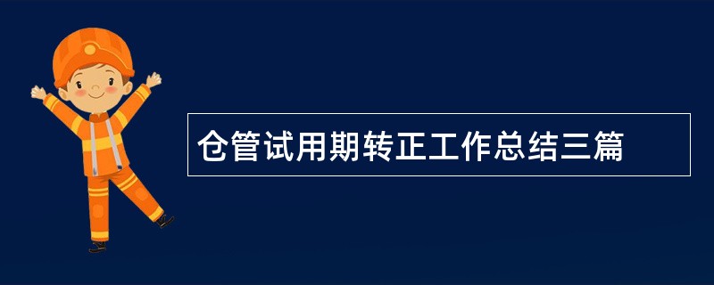 仓管试用期转正工作总结三篇