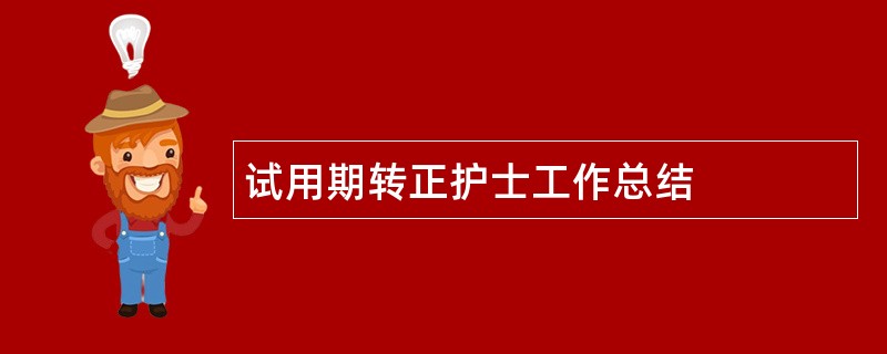 试用期转正护士工作总结