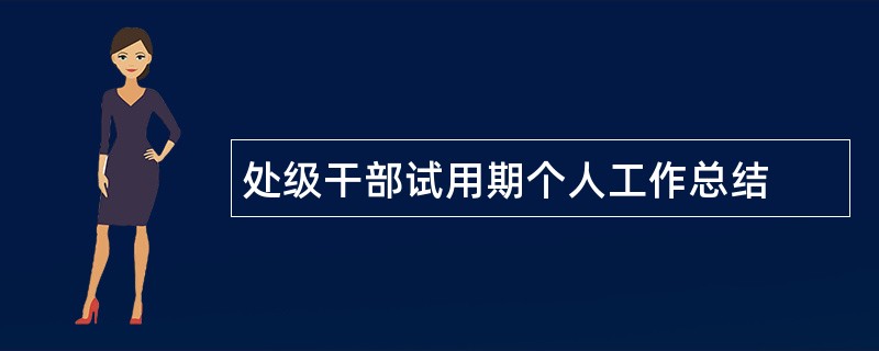 处级干部试用期个人工作总结