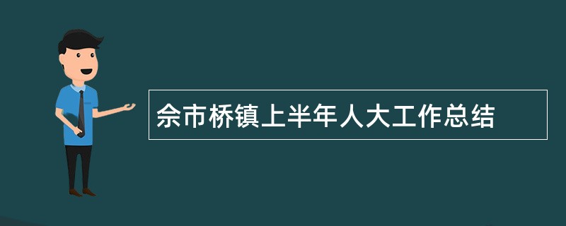 佘市桥镇上半年人大工作总结