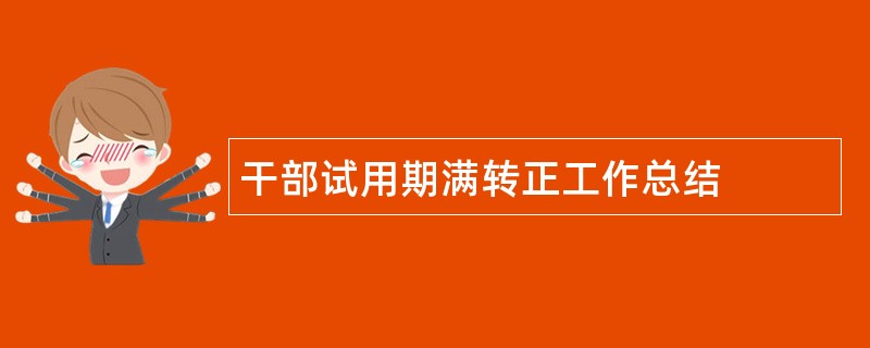 干部试用期满转正工作总结