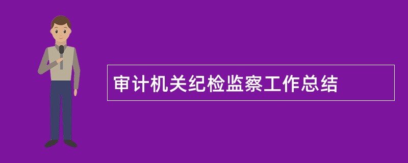 审计机关纪检监察工作总结