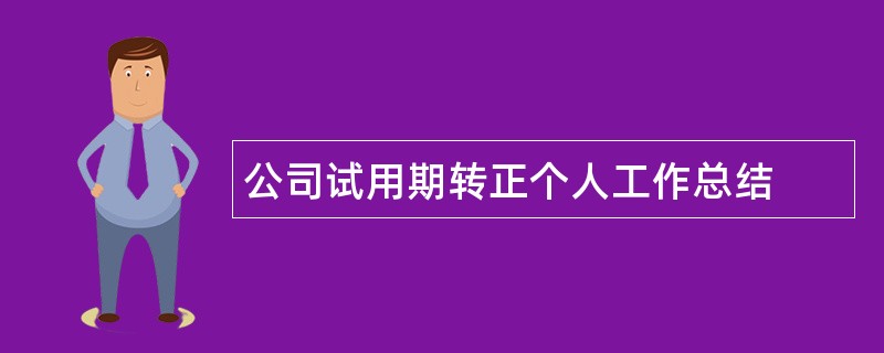 公司试用期转正个人工作总结