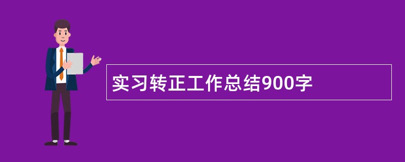 实习转正工作总结900字