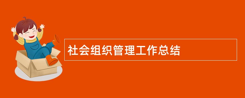 社会组织管理工作总结