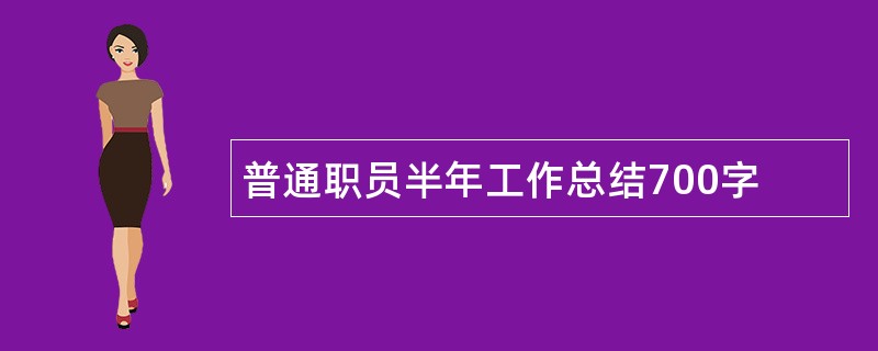 普通职员半年工作总结700字