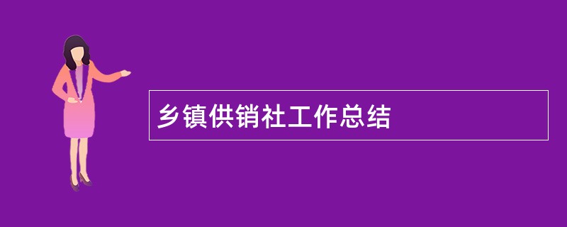 乡镇供销社工作总结