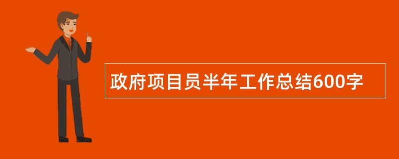 政府项目员半年工作总结600字