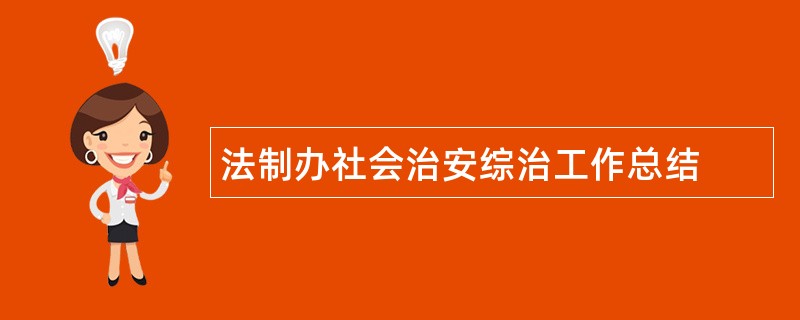 法制办社会治安综治工作总结