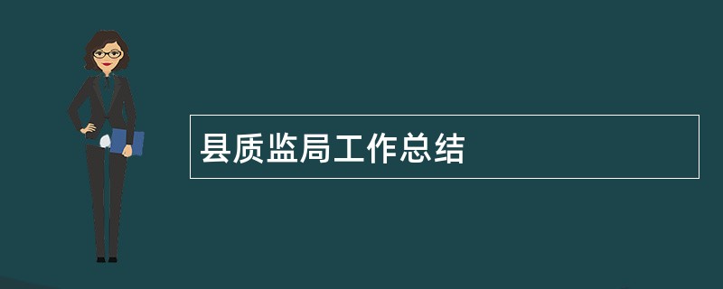 县质监局工作总结