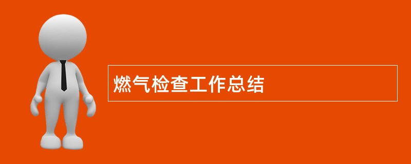 燃气检查工作总结