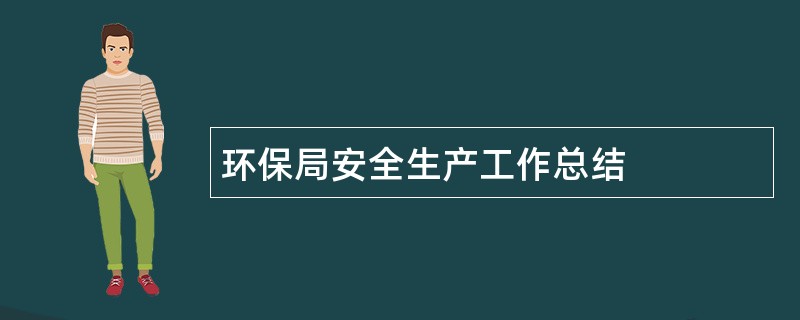 环保局安全生产工作总结