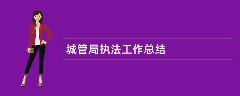 城管局执法工作总结