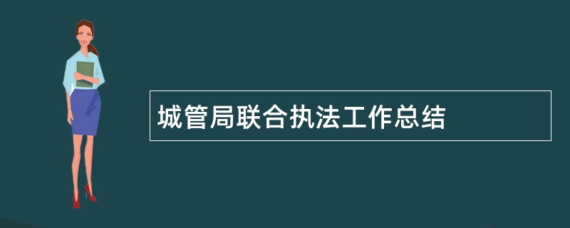 城管局联合执法工作总结