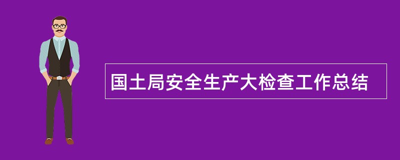 国土局安全生产大检查工作总结