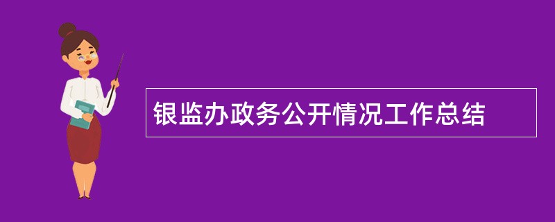 银监办政务公开情况工作总结