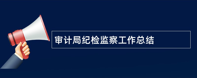 审计局纪检监察工作总结