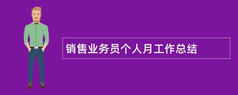 销售业务员个人月工作总结