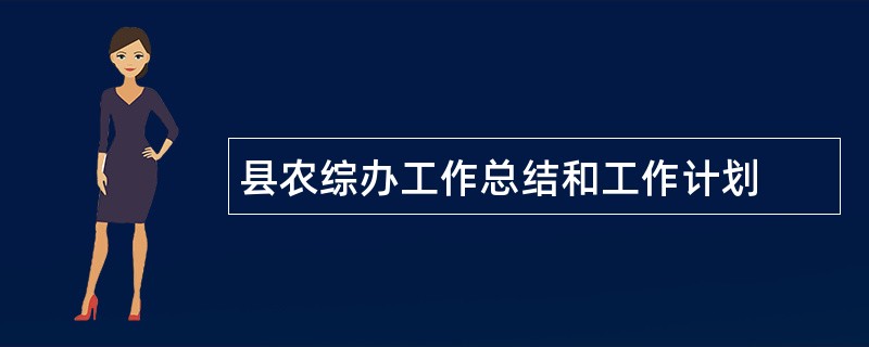 县农综办工作总结和工作计划