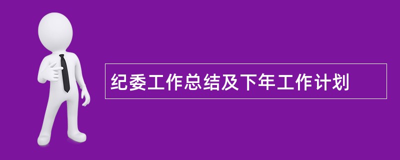 纪委工作总结及下年工作计划