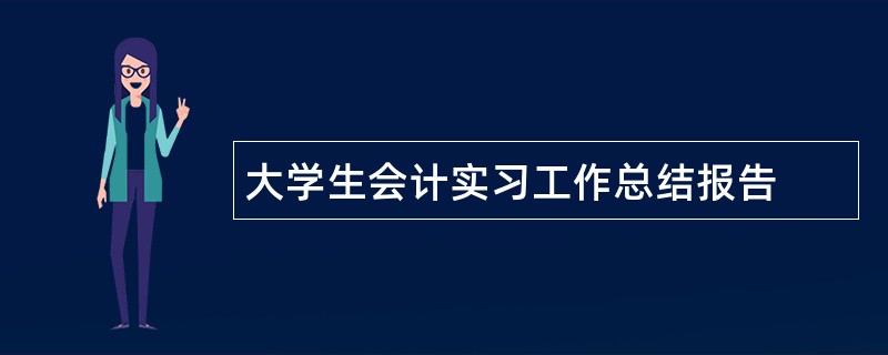 大学生会计实习工作总结报告