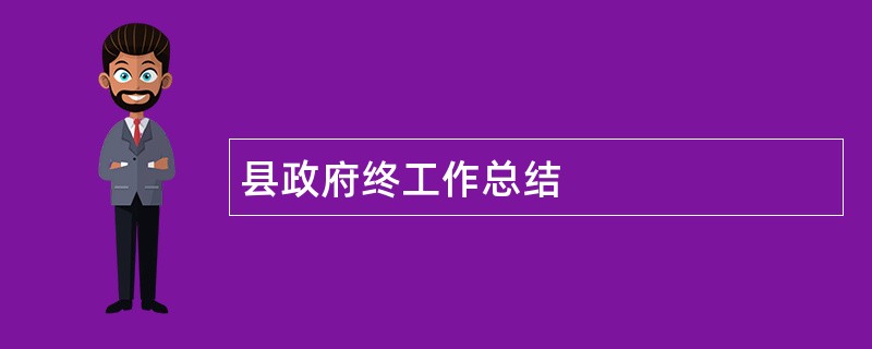 县政府终工作总结