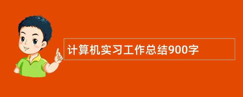 计算机实习工作总结900字