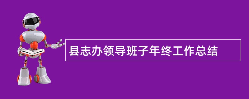 县志办领导班子年终工作总结