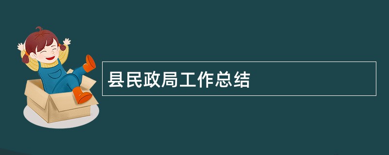 县民政局工作总结