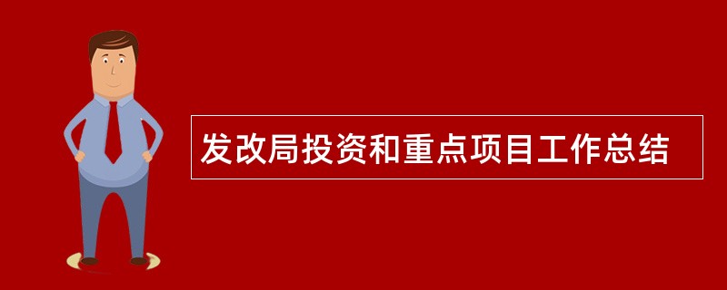 发改局投资和重点项目工作总结