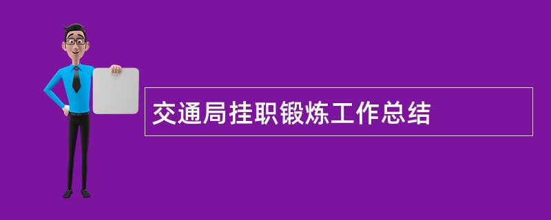 交通局挂职锻炼工作总结