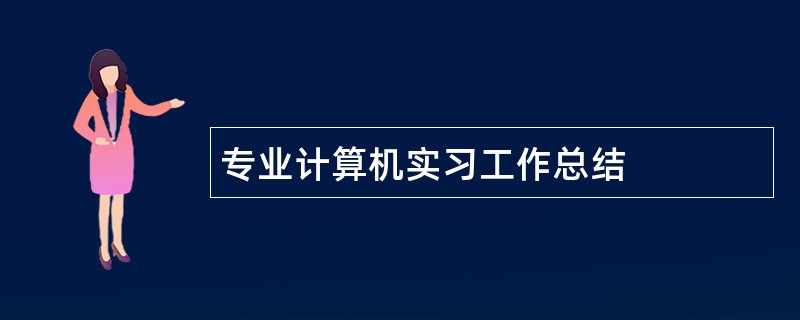 专业计算机实习工作总结