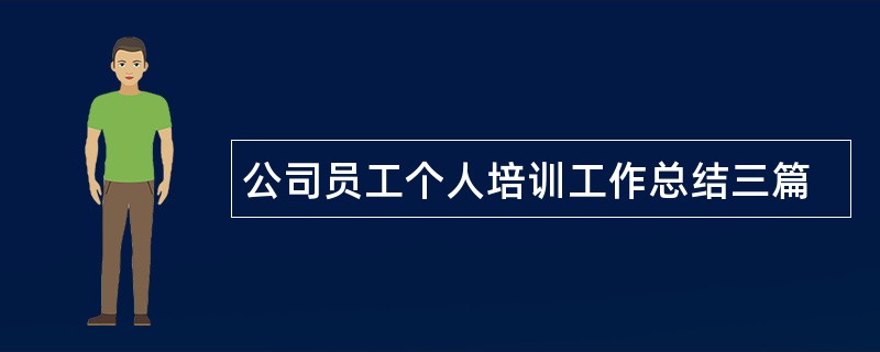 公司员工个人培训工作总结三篇