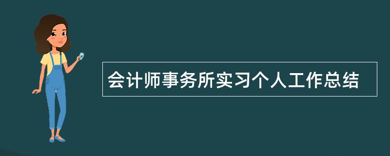 会计师事务所实习个人工作总结