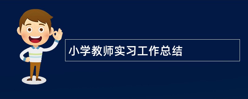 小学教师实习工作总结