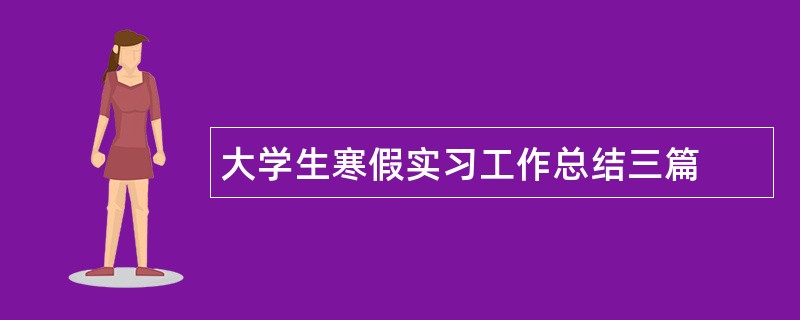 大学生寒假实习工作总结三篇