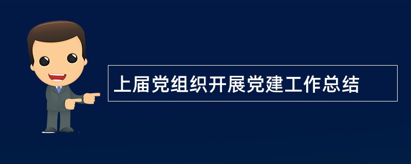 上届党组织开展党建工作总结