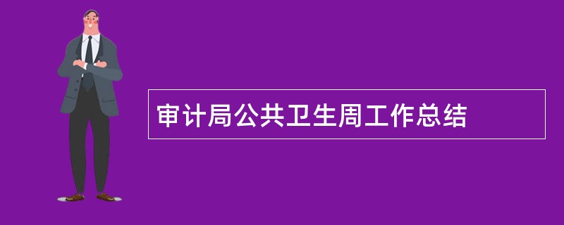 审计局公共卫生周工作总结